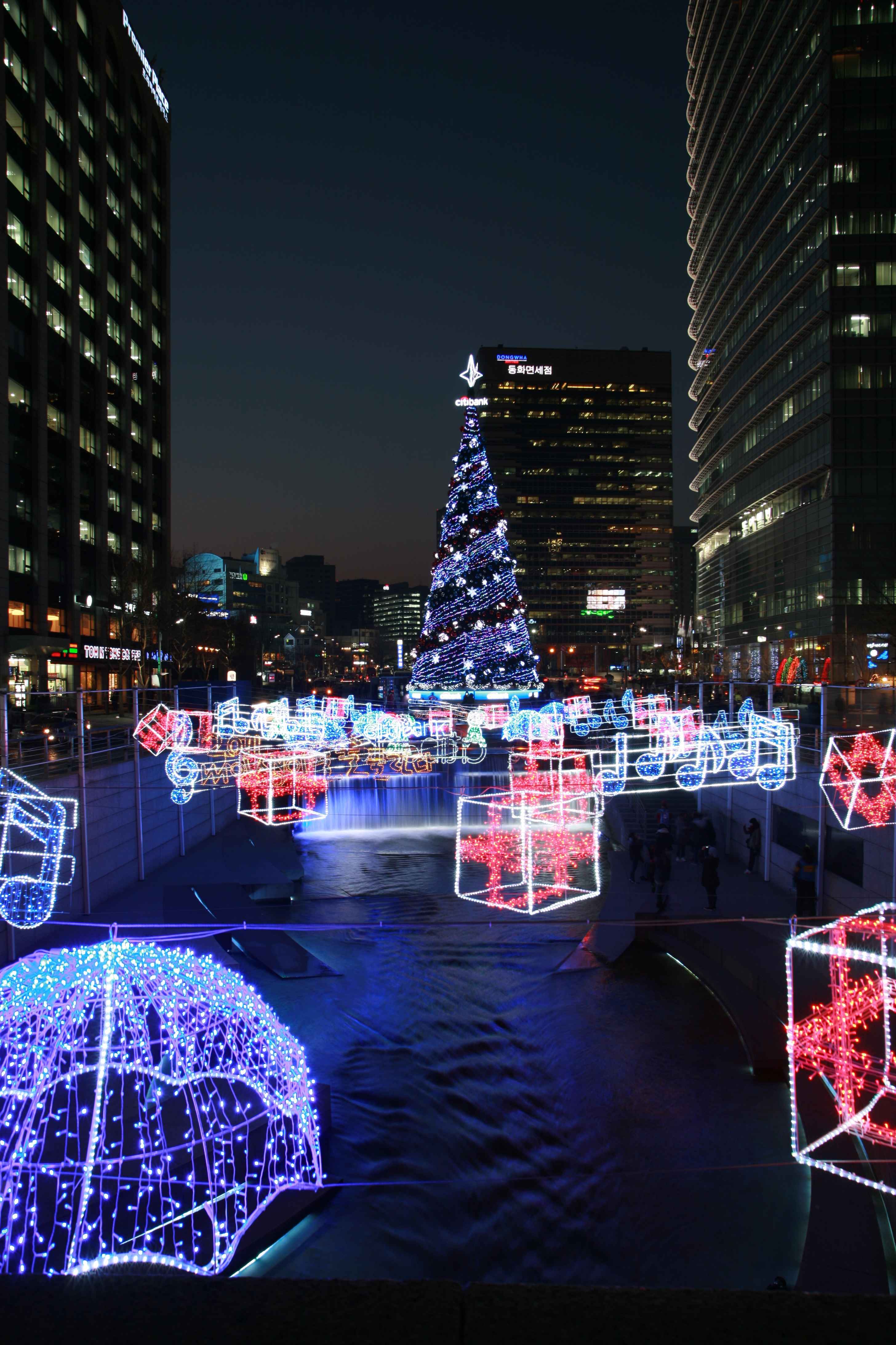 Year-end Tree Spaces in Seoul