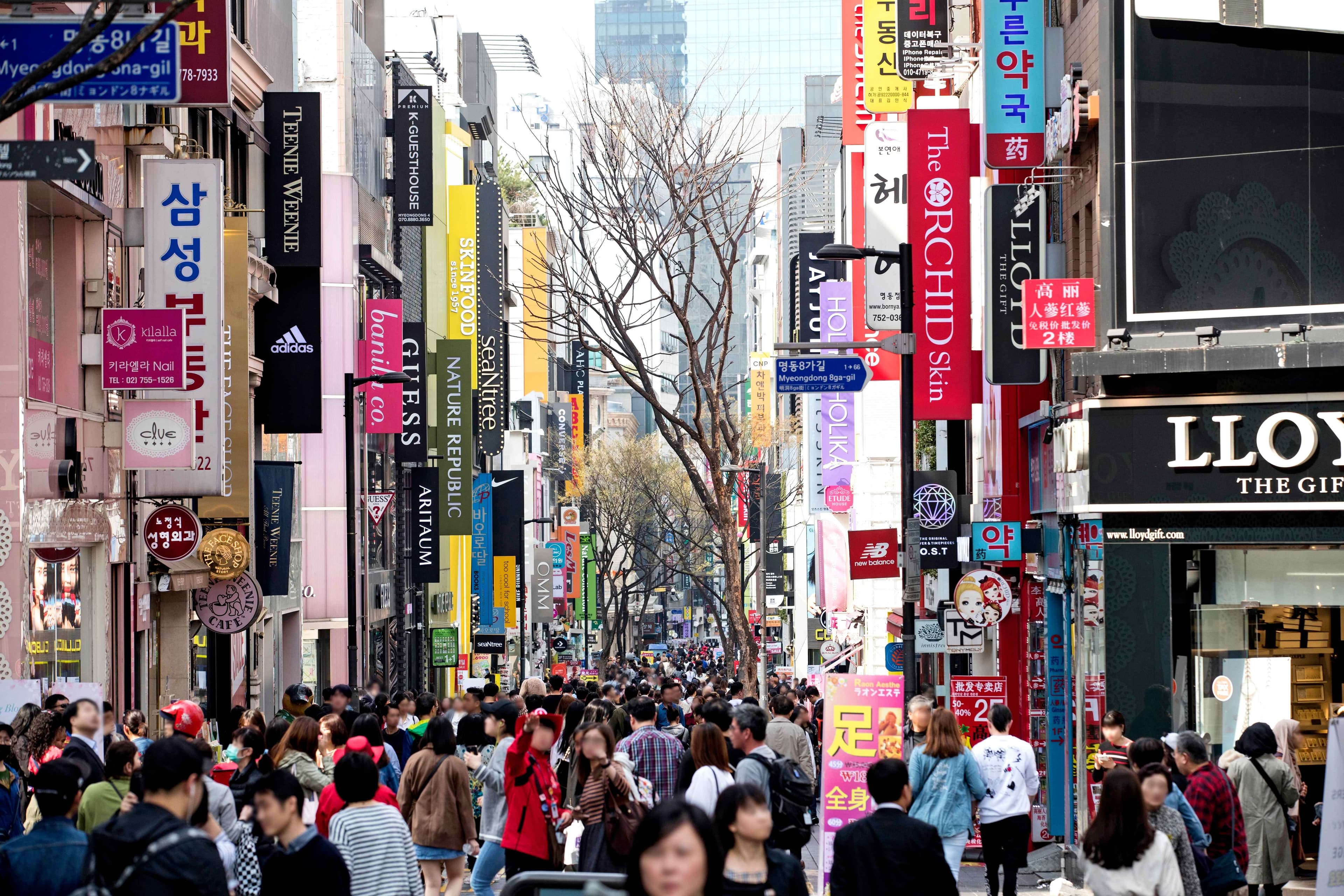 Myeongdong Shopping Street